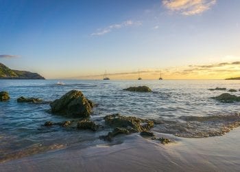 Żarłacz biały u wybrzeży Majorki. Pierwszy taki przypadek od 30 lat [FOTO]