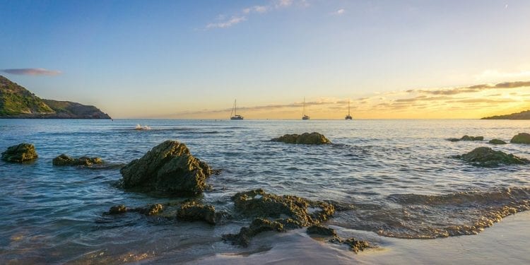 Żarłacz biały u wybrzeży Majorki. Pierwszy taki przypadek od 30 lat [FOTO]