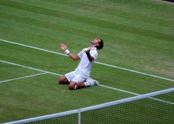 Novak Djoković przyznał, komu kibicuje na mundialu. Serbski polityk nazwał go idiotą