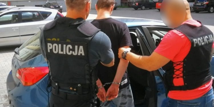 Zielona Góra: Mordował jeże przez podpalenie. Już jest w rękach policji