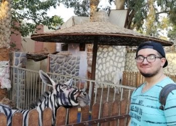 Osły przemalowane na zebry? Turysta odkrył oszustwo w egipskim ZOO [WIDEO]