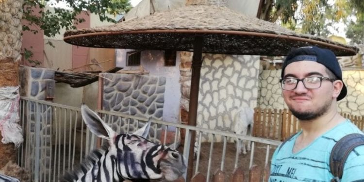 Osły przemalowane na zebry? Turysta odkrył oszustwo w egipskim ZOO [WIDEO]