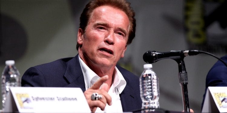Schwarzenegger o spotkaniu Trump – Putin. „Sprzedał pan nasz kraj”