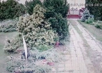 Kurier dostarczył paczkę w skandaliczny sposób. Jest reakcja DPD! [WIDEO]