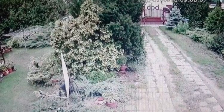 Kurier dostarczył paczkę w skandaliczny sposób. Jest reakcja DPD! [WIDEO]