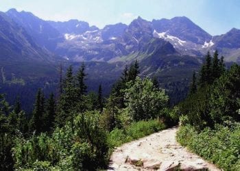 TPN oszacował straty po ostatnich nawałnicach. Kiedy szlaki znów będą otwarte?