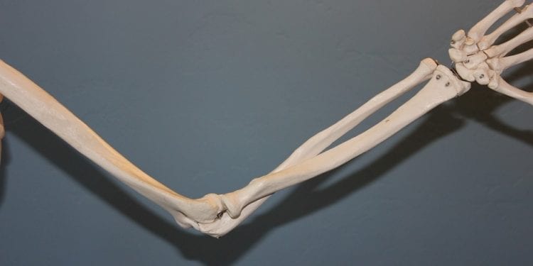 Zagadkowe zdobienia kości kobiety w grobowcu sprzed kilku tysięcy lat. Polscy naukowcy wyjaśniają unikatowe znalezisko