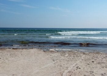 Naukowcy biją na alarm. Sytuacja Bałtyku najgorsza od 1500 lat!