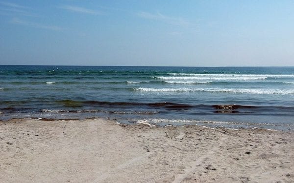 Naukowcy biją na alarm. Sytuacja Bałtyku najgorsza od 1500 lat!