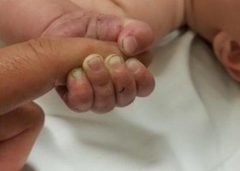 Znaleziono niemowlę zakopane w lesie. Dziecko żyło. Sprawca z zarzutami