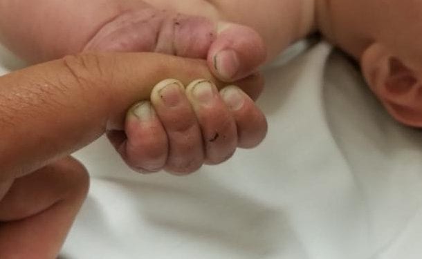 Znaleziono niemowlę zakopane w lesie. Dziecko żyło. Sprawca z zarzutami