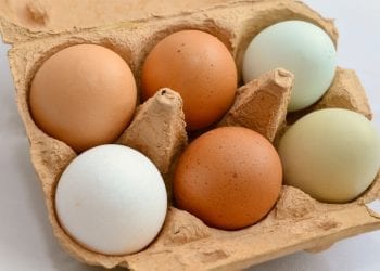 Do sprzedaży trafiły jaja z salmonellą. GIS ostrzega i podaje dane produktu