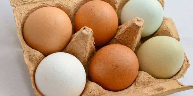 Do sprzedaży trafiły jaja z salmonellą. GIS ostrzega i podaje dane produktu