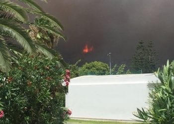 Fotorelacja z greckiej miejscowości pochłoniętej przez pożar. „Nie ma tam żywego ducha” [FOTO]