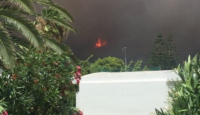 Fotorelacja z greckiej miejscowości pochłoniętej przez pożar. „Nie ma tam żywego ducha” [FOTO]