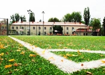 Blisko połowa Orlików w kraju jest w katastrofalnym stanie. Potwierdzają to najnowsze badania