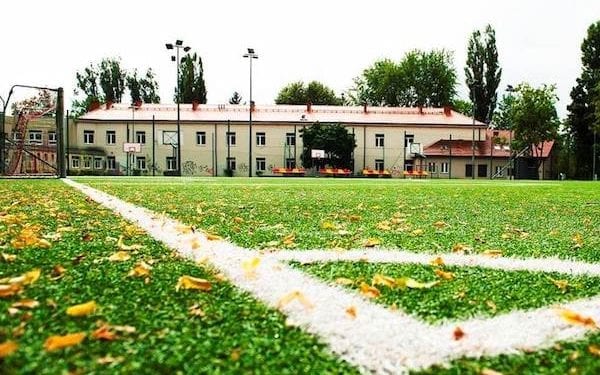 Blisko połowa Orlików w kraju jest w katastrofalnym stanie. Potwierdzają to najnowsze badania