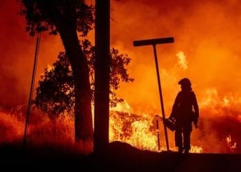 Wielkie pożary szaleją w Kalifornii. Świadkowie mówią o „ognistych tornadach” [WIDEO]