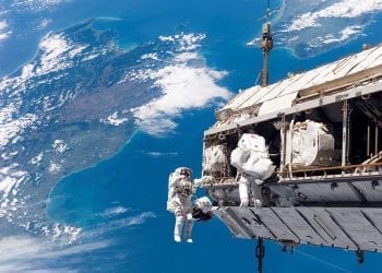 Jak wyżywić ludzi w kosmosie? Pracują nad tym wrocławscy naukowcy