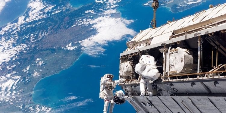 Jak wyżywić ludzi w kosmosie? Pracują nad tym wrocławscy naukowcy