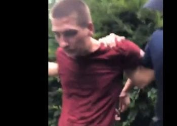 Uczestnik demonstracji pod Sejmem był „podduszany” przez policję? Poseł PO publikuje film. „Ten pan został przeze mnie znaleziony w krzakach” [WIDEO]