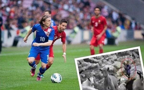 5-letni Luka Modrić chronił stada kóz przed wilkami. Niezwykły film z dzieciństwa piłkarza podbija sieć!