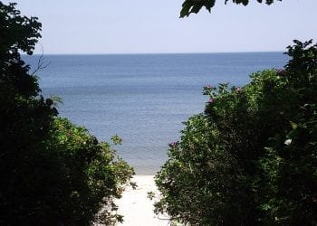 Morze Bałtyckie wyrzuciło wieloryba na polską plażę. Ma ok 7 metrów [FOTO]