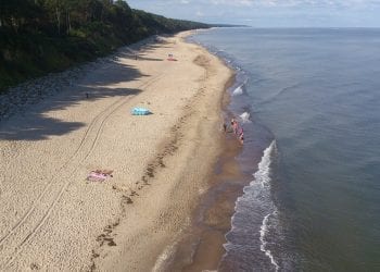 Czym są sinice? Specjalista wyjaśnia czy wszystkie są niebezpieczne dla ludzi
