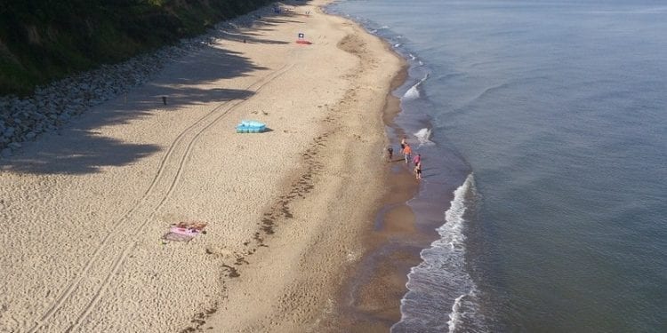 Czym są sinice? Specjalista wyjaśnia czy wszystkie są niebezpieczne dla ludzi