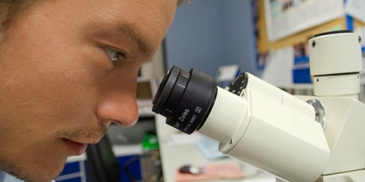 Setki tysięcy naukowców publikują w czasopismach pseudonaukowych