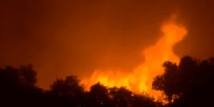 Grecja: Dwóch Polaków zginęło w pożarach. Jest decyzja ws. wyjazdu naszych strażaków