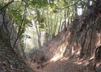 Sandomierz: Archeolodzy odkryli ślady osady sprzed 5 tysięcy lat