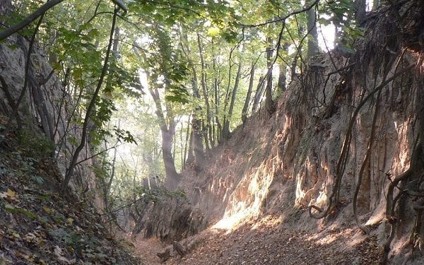 Sandomierz: Archeolodzy odkryli ślady osady sprzed 5 tysięcy lat