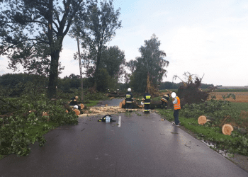 Powalone drzewa, zniszczenia i brak prądu. Opłakane skutki niedzielnych burz i deszczu [FOTO]