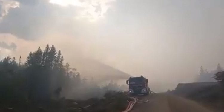 Mamy film z pracy naszych strażaków w Szwecji. Tak pomagają gasić pożary lasów [WIDEO]