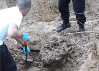 Olsztynek: Policjanci odkryli w lesie szkielet mężczyzny. Rozwiążą tajemnicę sprzed 20 lat? [FOTO+WIDEO]