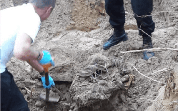 Olsztynek: Policjanci odkryli w lesie szkielet mężczyzny. Rozwiążą tajemnicę sprzed 20 lat? [FOTO+WIDEO]