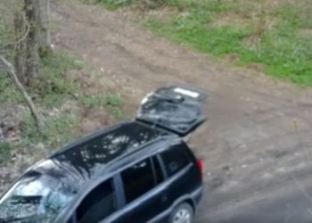 Mężczyzna wyrzucił śmieci w środku lasu. Nie wiedział, że nagrały go kamery! [WIDEO]