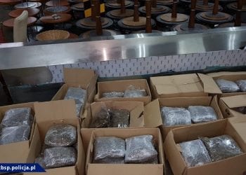 Policja zlikwidowała wielki szlak przemytniczy z Holandii. Zabezpieczono ponad 100 kg narkotyków wartych fortunę