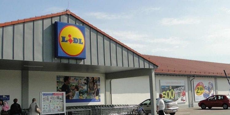 Lidl wyprzedaje brzydkie owoce i warzywa za bezcen. Zyski przekaże na cel charytatywny