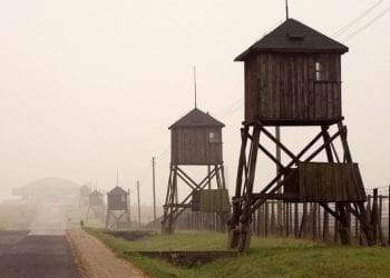 17-latek z Izraela obnażał się na Majdanku. Prokuratura postawiła mu zarzuty!