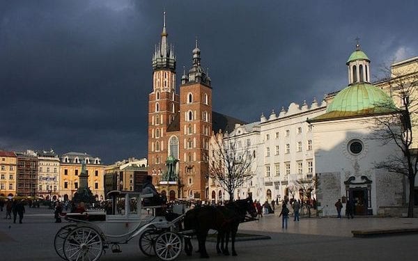 Konie dorożkarskie w Krakowie przeciążone z powodu upału? Jest zawiadomienie do prokuratury!
