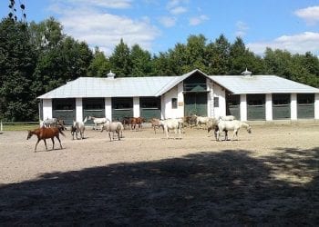 Żona perkusisty The Rolling Stones wspomina swoje wizyty w Polsce. „To były tak cudowne czasy”