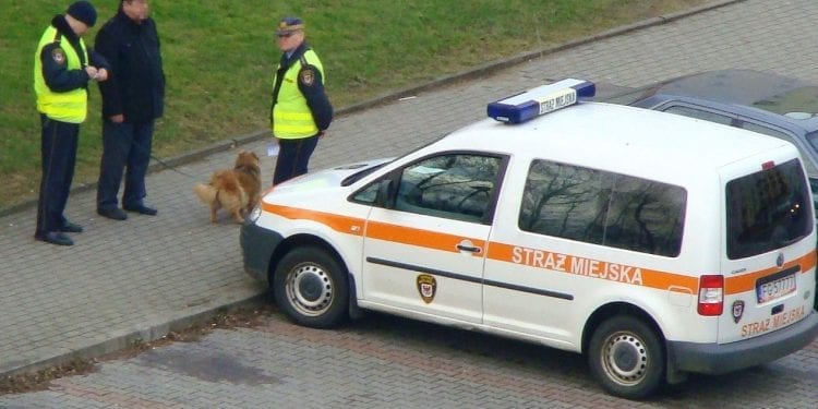 Straż Miejska definitywnie zniknie z polskich miast? „Jest odbierana jako instytucja zajmująca się gnębieniem Polaków”