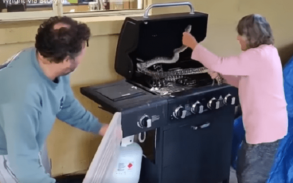 Mężczyzna znalazł węża w grillu, ale bał się go wyjąć. Poprosił o to… babcię [WIDEO]