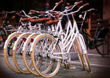 Polska jednym z największych producentów rowerów w Europie. Jakie jednoślady są najpopularniejsze?