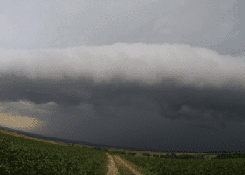 Lubelskie: Spektakularna chmura na czele burzy. Niecodzienne zjawisko zachwyciło obserwatorów [FOTO+WIDEO]