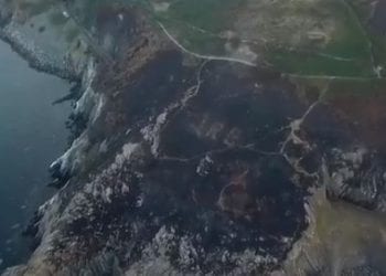 Irlandia: Pożary lasów ujawniły tajemniczy napis. Pochodzi z okresu II wojny światowej [WIDEO]