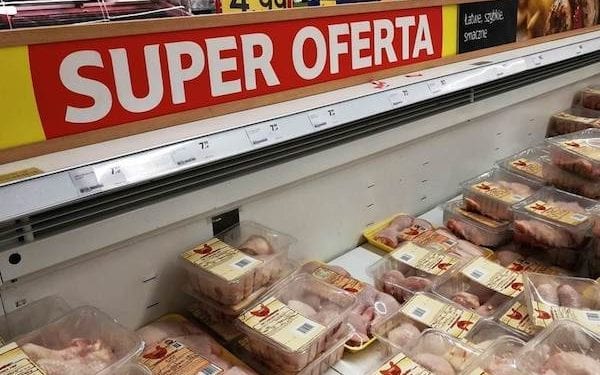 Branża drobiarska: Konsumentów czeka szok. Jesienią mięso z kurczaków i indyków poważnie zdrożeje