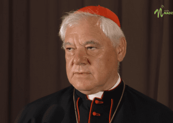 Niemiecki kardynał zabrał głos ws. demokracji w Polsce. Zaapelował do UE